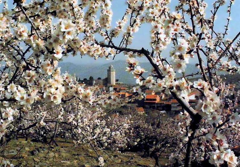 Moradias Do Douro Internacional Villa Freixo de Espada à Cinta Buitenkant foto