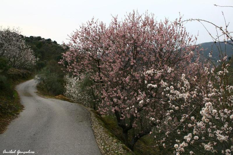 Moradias Do Douro Internacional Villa Freixo de Espada à Cinta Buitenkant foto