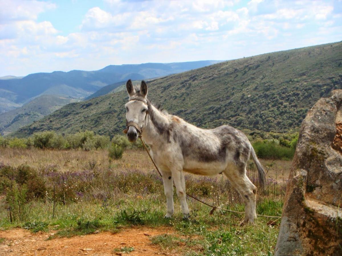 Moradias Do Douro Internacional Villa Freixo de Espada à Cinta Buitenkant foto