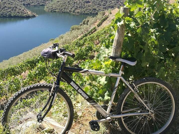 Moradias Do Douro Internacional Villa Freixo de Espada à Cinta Buitenkant foto