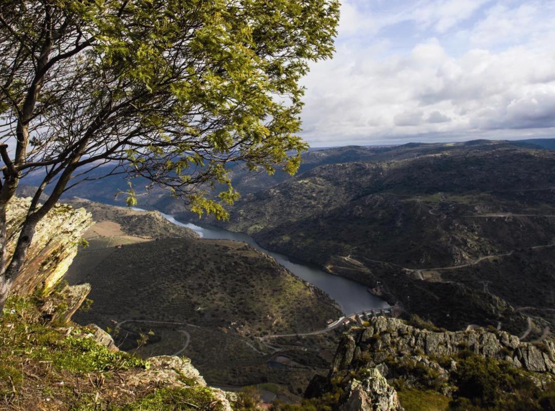 Moradias Do Douro Internacional Villa Freixo de Espada à Cinta Buitenkant foto